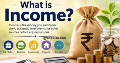What is Income? Meaning, Types of Income You must Know