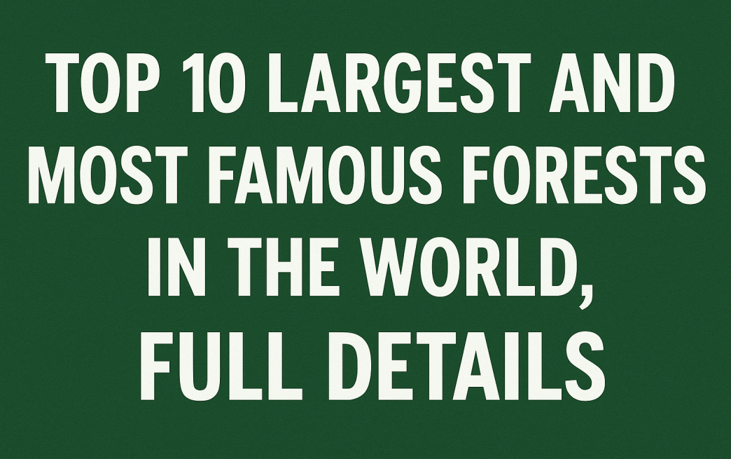 Top 10 Largest and Most Famous Forests in the World