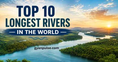 Top 10 Longest Rivers in the World, Facts with Name
