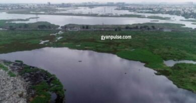 NGT Stopped Construction Near Pallikaranai Marshland, National Green Tribunal