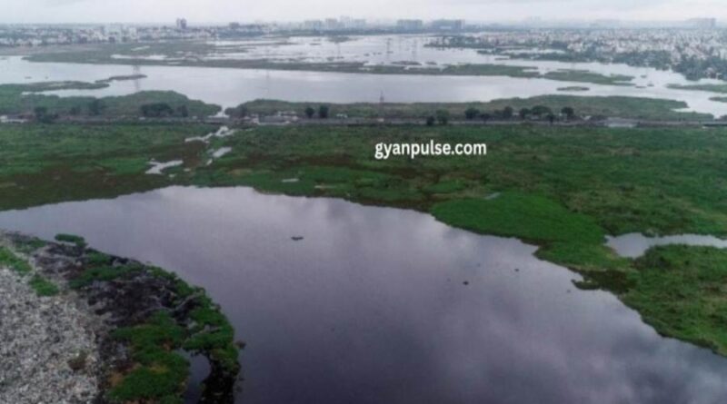 NGT Stopped Construction Near Pallikaranai Marshland, National Green Tribunal