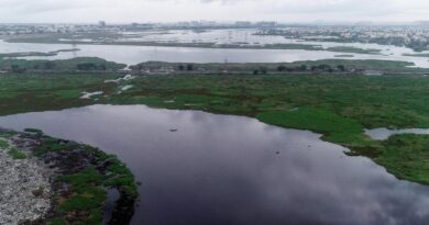 NGT stopped construction near Pallikaranai Marshland