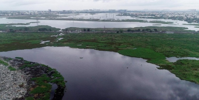 NGT stopped construction near Pallikaranai Marshland
