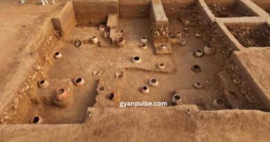 Ancient Iron Age Site Found in Tamil Nadu