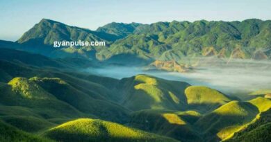 Dzükou Valley Nominated for Global Tourist Destination by Nagaland