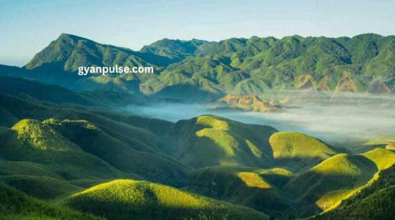 Dzükou Valley Nominated for Global Tourist Destination by Nagaland