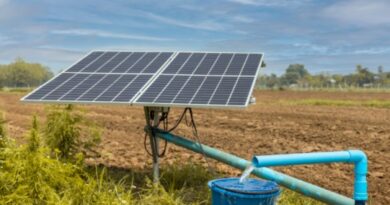 India Highlights PM KUSUM Solar Program for African Nations