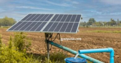 India Highlights PM KUSUM Solar Program for African Nations