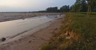 NGT Orders Probe into Markanda River Pollution