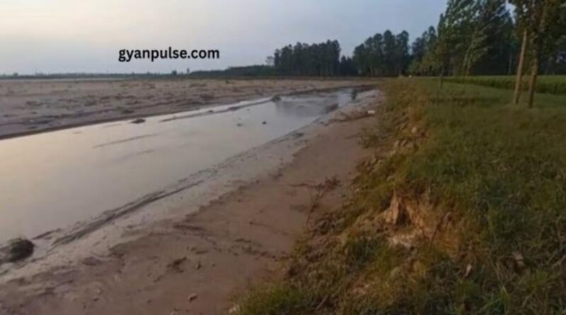 NGT Orders Probe into Markanda River Pollution