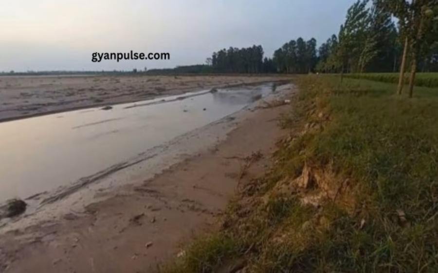 NGT Orders Probe into Markanda River Pollution