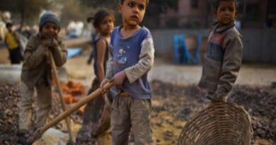 Rajasthan Bans Child Labour, No Employment of Children Under 14 in Shops