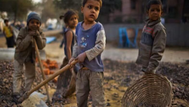 Rajasthan Bans Child Labour, No Employment of Children Under 14 in Shops