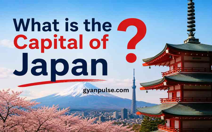 What is the Capital of Japan - History, Culture, Sports and Neighbouring Countries