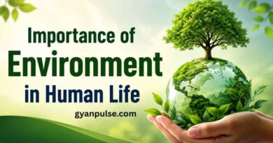 Importance of Environment in Human Life, Why the Environment is essential for Human Survival?