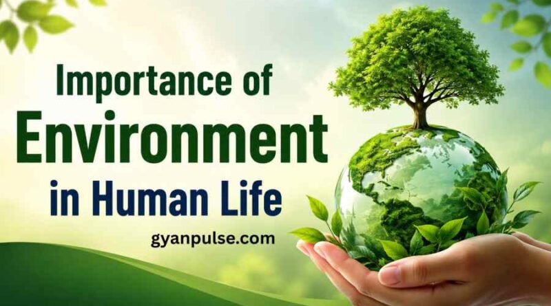 Importance of Environment in Human Life, Why the Environment is essential for Human Survival?