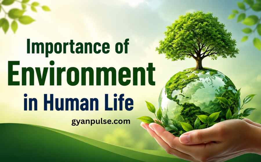 Importance of Environment in Human Life, Why the Environment is essential for Human Survival?