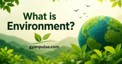 What is Environment? Meaning, Definition, Types and Importance