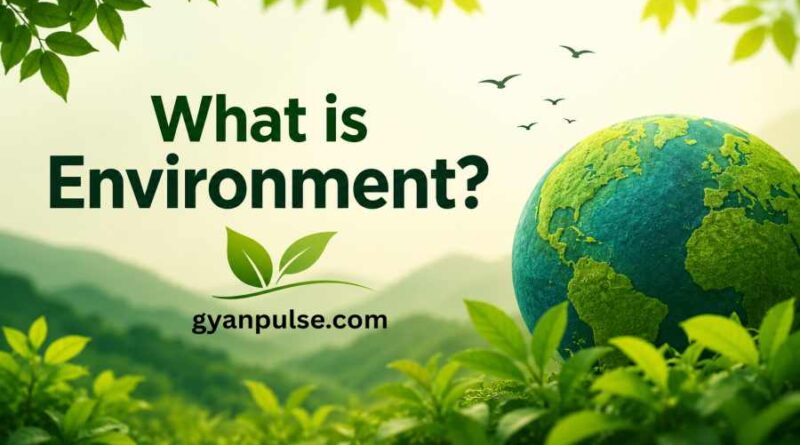 What is Environment? Meaning, Definition, Types and Importance
