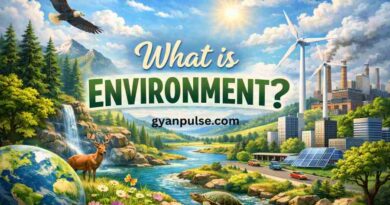 What is Environment? Meaning, Definition, Types and Importance