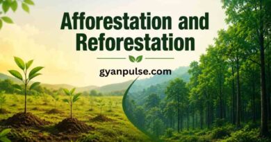 Afforestation and Reforestation - Meaning, Importance and Key Differences