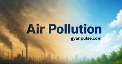 Air Pollution - Causes, Effects and Practical Solutions For a Healthier Future