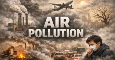 Air Pollution - Causes, Effects and Practical Solutions for a Healthier Future