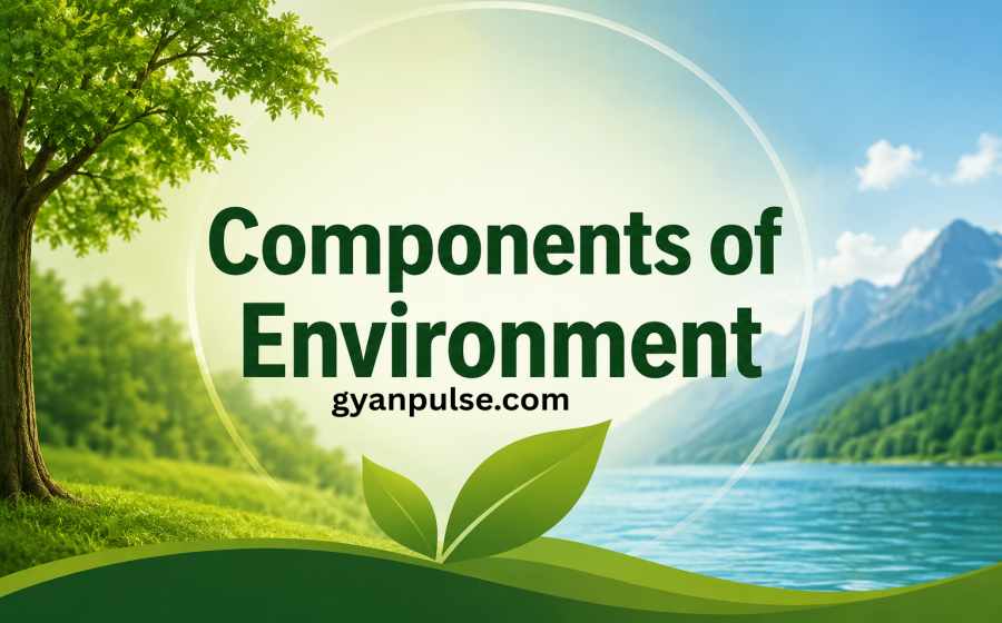 Components of Environment - Biotic and Abiotic Factors of Nature