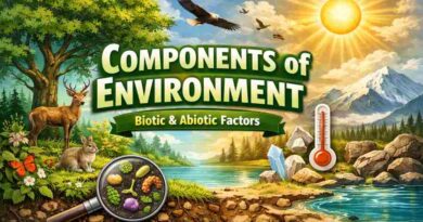 Components of Environment - Biotic and Abiotic Factors of Nature