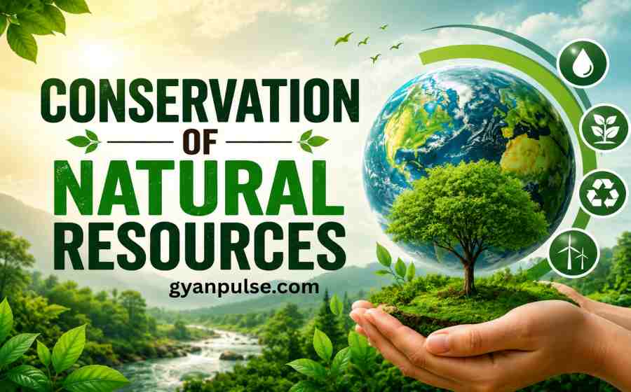 Conservation of Natural Resources - Importance, Methods and Sustainable Future