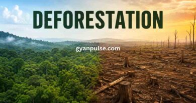 Deforestation - Meaning, Major Causes and Its Serious Effects on Our Planet