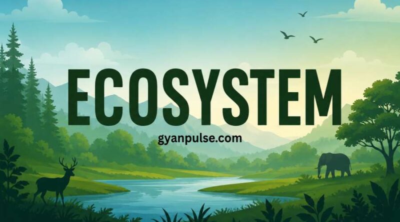 Ecosystem - Meaning, Types and Components of an Ecosystem