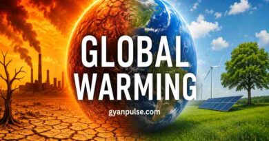 Global Warming - Causes, Effects and Simple Solutions For a Safer Future