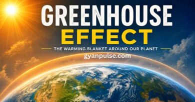 Greenhouse Effect - Meaning, Process, Causes and Environmental Impact