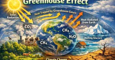 Greenhouse Effect - Meaning, Process, Causes and Environmental Impact