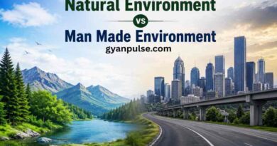 Natural Environment vs Man Made Environment - Key Differences, Importance and Impact On Human Life