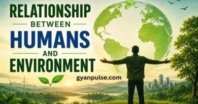 Relationship Between Humans and Environment - How Nature and Humanity Shape Each Other