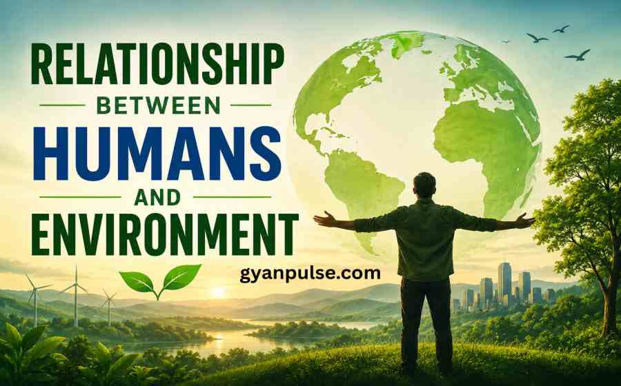Relationship Between Humans and Environment - How Nature and Humanity Shape Each Other