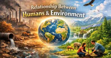Relationship Between Humans and Environment - How Nature and Humanity shape each other