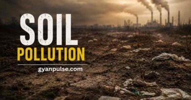 Soil Pollution - Hidden Threat Beneath Our Feet and Its Lasting Environmental Impact