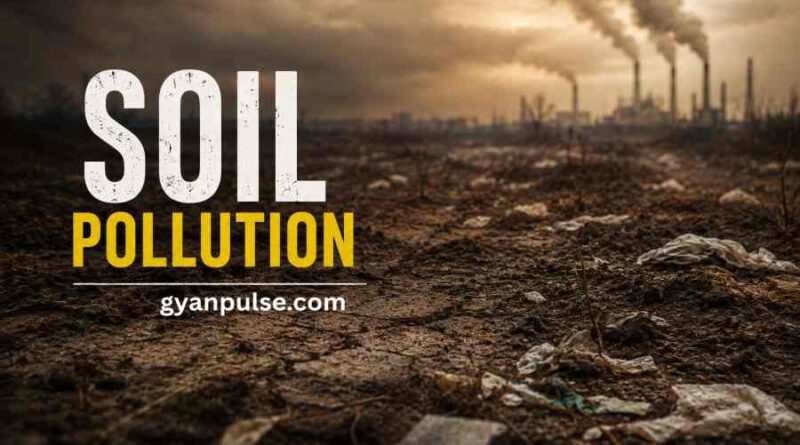 Soil Pollution - Hidden Threat Beneath Our Feet and Its Lasting Environmental Impact