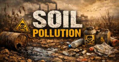 Soil Pollution - Hidden Threat Beneath Our Feet and Its Lasting Environmental Impact