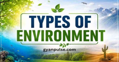 Types of Environment - Natural, Human and Man Made Environment