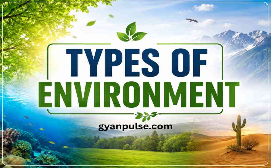 Types of Environment - Natural, Human and Man Made Environment