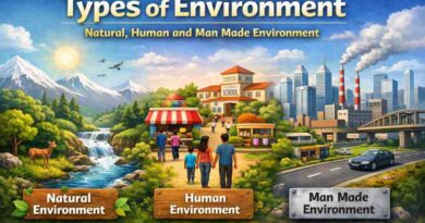 Types of Environment - Natural, Human and Man Made Environment