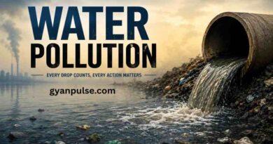 Water Pollution - Sources, Effects and Smart Prevention Methods For a Cleaner Future