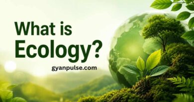 What is Ecology? Introduction To The Science of Life and Environment