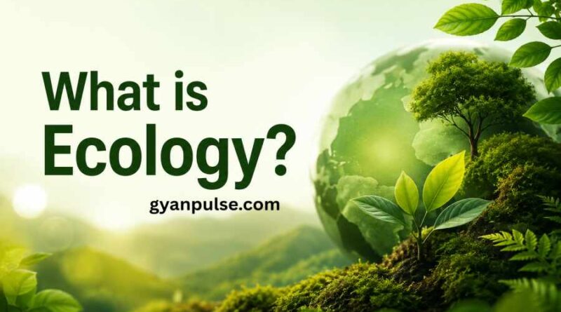 What is Ecology? Introduction To The Science of Life and Environment