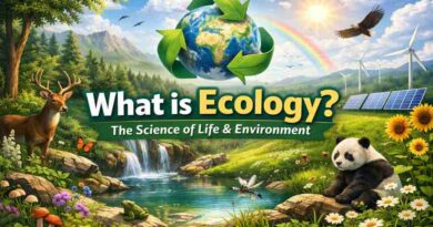 What is Ecology? Introduction to the Science of Life and Environment