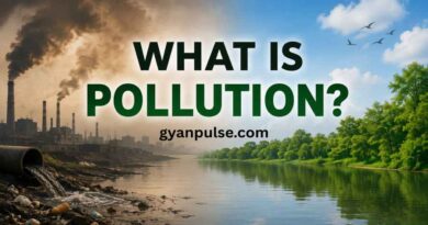 What is Pollution? Meaning, Causes, Effects and Major Types